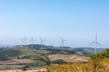Wind Turbines in Rural Landscape with Wildflowers