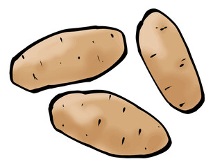 筆 メークイン （ジャガイモ） 芋 ポテト 手描き