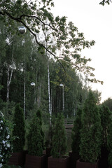 Elegant chandelier and shiny globes hanging on a tree create a magical outdoor atmosphere. Crystal and metallic elements reflect light, adding charm to the natural forest scenery.