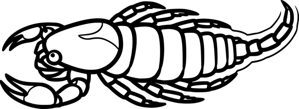 Eurypterid fossil sea scorpion outline vector
