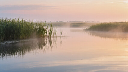 Obraz premium Misty morning over tranquil lake with reeds at sunrise 