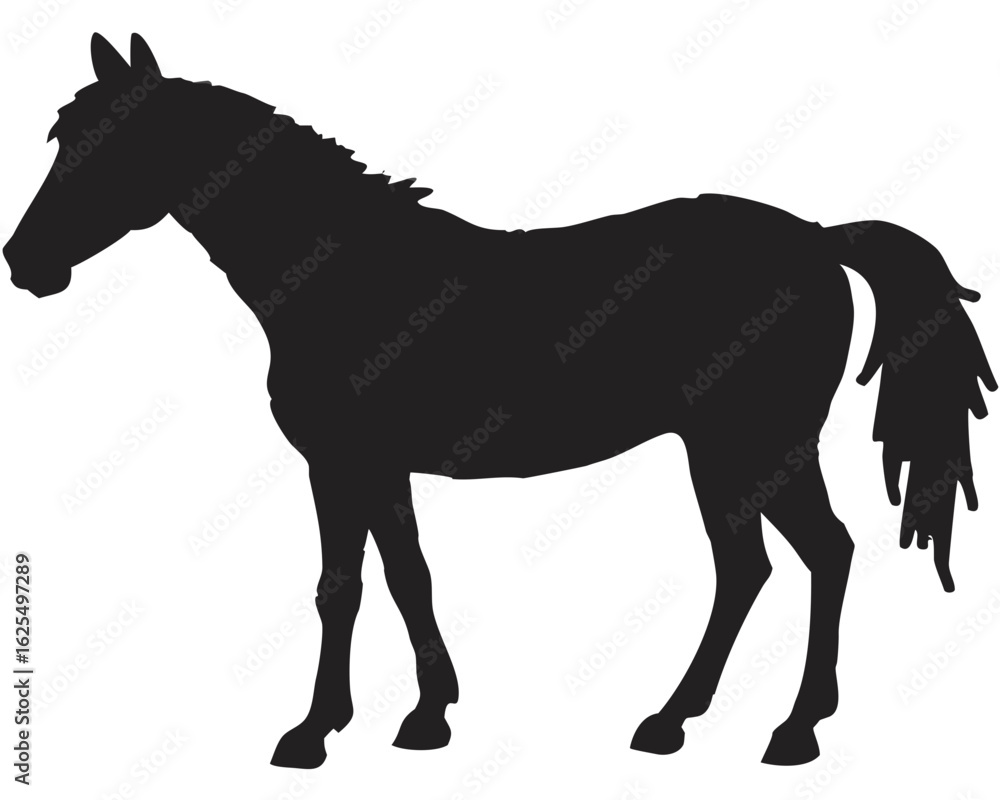 Poster silhouette of a horse standing with a flowing mane and tail in a side profile on a white background 