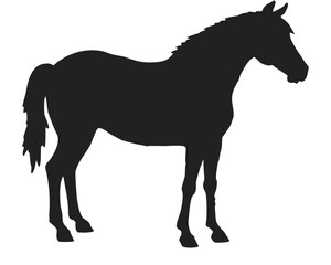 Obraz premium Silhouette of a horse standing in profile with a short tail and a thick mane and a solid black color created with generated ai