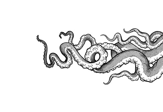 Tentacles of octopus, hand drawn collection of illustrations. Black and white engraving style drawings. Tentacle straight and with rings in different angles.
