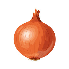 Orange onion bulb on transparent background, vector, isolated
