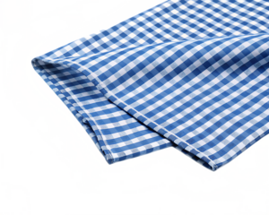 Blue white checkered fabric isolated on a transparent background