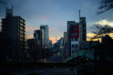 高台からの夕景とタワー