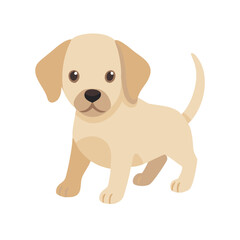 "Ultimate SVG Vector Design Bundle &ndash; Abstract, Geometric, Botanical, Mandala, Minimal, Vintage & Modern Elements for Cricut, Laser Cutting, Sublimation, and DIY Crafts"