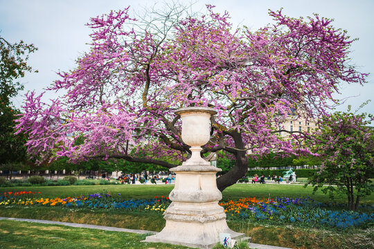 Paris, Francia