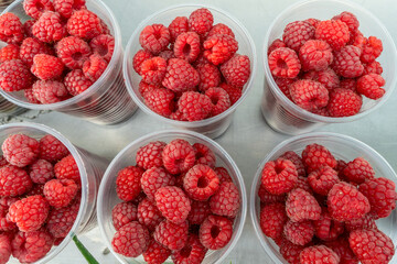 Freshly picked raspberries in clear cups at the market. Delightful moments captured with luscious raspberries for a perfect picnic. A summer celebration with vibrant raspberries bursting with flavor.