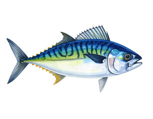 Fototapeta premium Hand-Drawn Style Striped Fish with Watercolor Shading and Bold Markings, Food Illustration, Isolated