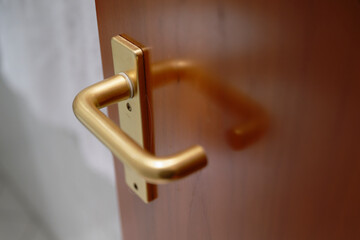 Dark brown wooden door with gold brass handle