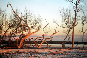 Sun Sets on Key Waden, Florida (1)