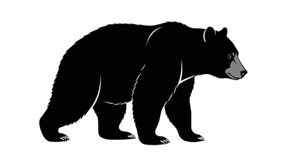 Fototapeta premium silhouette of a bear