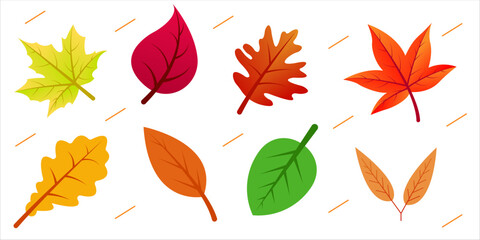 Autumn Leaves icon Collection  Vector Graphics for Fall Designs