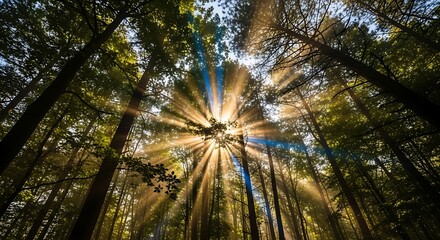 Ai generated image of sunlight streaming through the forest canopy, creating dramatic sunbeams and illuminating the trees in a breathtaking natural display of light and shadow