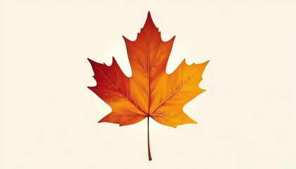 Fototapeta premium Vibrant Orange and Yellow Maple Leaf on Light Background Capturing Autumn Beauty and Change