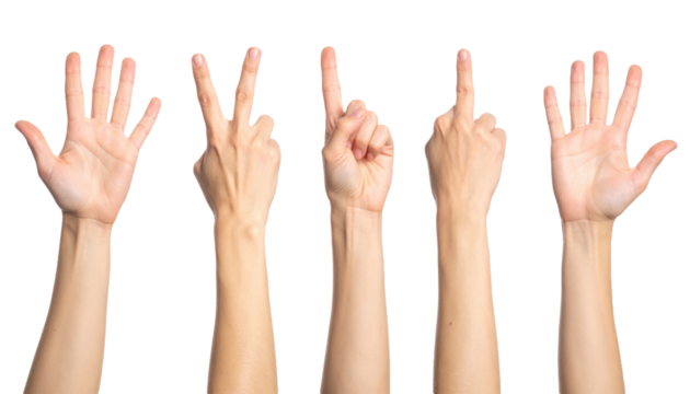 Finger Indication Gesture Isolated on White