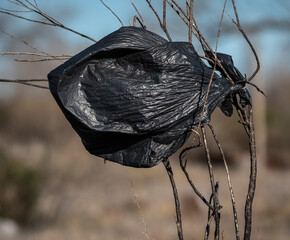 bolsa negra de plastico , enganchada en las ramas de una planta  , contaminacion ambiental , da&ntilde;o ecologico generado por residuos plasticos