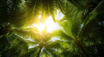 Fototapeta premium Tropical Paradise: Low Angle View of Palm Trees with Sunlight Bursting Through