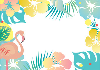 ハイビスカス、背景、花、トロピカル、沖縄、ハワイ、貝、夏、バカンス、初夏、南国、モンステラ、植物、観葉植物、フレーム、バックグラウンド、アブストラクト、おしゃれ