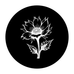 Elegant white sunflower illustration with detailed petals and leaves on a contrasting black background providing a minimalist aesthetic