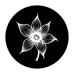 Elegant white flower with intricate petals blooming inside circular black frame graphic illustration