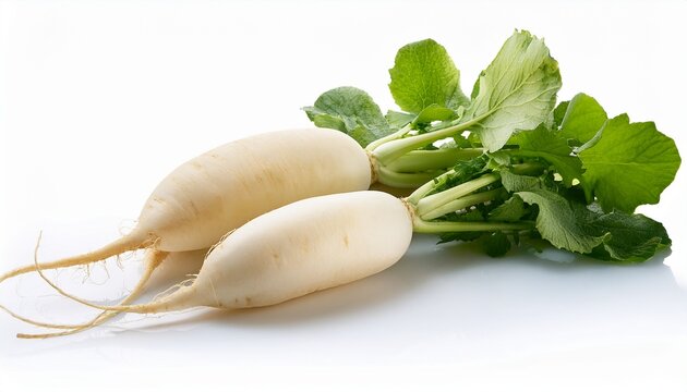 organic fresh white radish isolated on a white background - Powered by Adobe