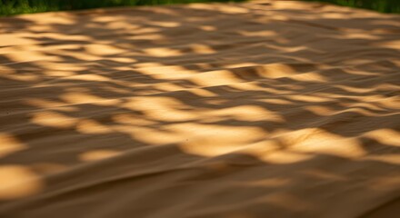 Desert Gold Ripple: Sunlit Sand Textures in Warm Hue