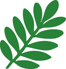 Naklejka premium Tropical Natural Leaf Illustration, Isolated Background. Soft and Sleek Green Botanical Shape, Nature-Inspired Decorative Design