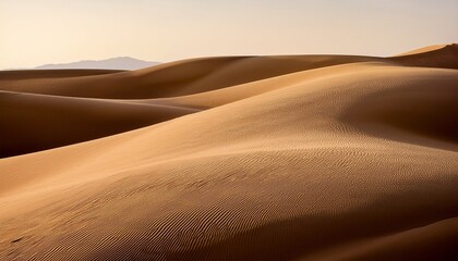 minimalist curves with soft warm tones evoking gentle landscapes or abstract dunes