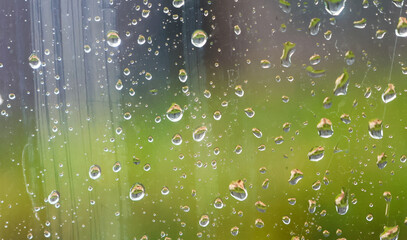 Raindrops on Window with Green Tree Background: Fresh Spring Shower