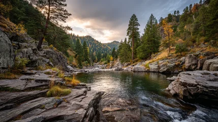 Gardinen Mountain river flowing through evergreen forest with rocky banks © The_AI_Revolution