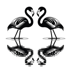 Two elegant flamingos in silhouette reflected in water isolated on white background