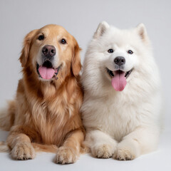 two dogs playing generative ai