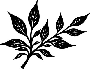 Fototapeta premium Vector silhouette of a natural branch with delicate leaves on a clean white background