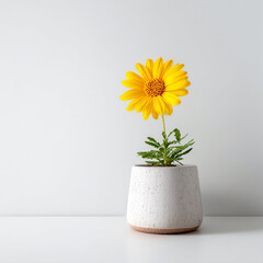 yellow flower in a pot cinematic lighting white Generative ai