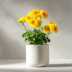 yellow flower in a pot cinematic lighting white Generative ai