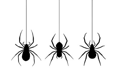 Black Spider on White Background – Halloween Web Decoration Vector Mockup