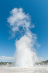 Eruption of the Great Fountain Geyser in Yellowstone National park.