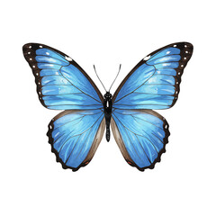 Obraz premium Vibrant Blue Butterfly Isolated on White Background Beautiful Insect Nature Design Element