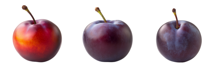 High quality photograph of three different plum varieties