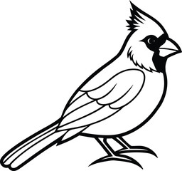 Cardinal bird illustration with black markings isolated on white background
