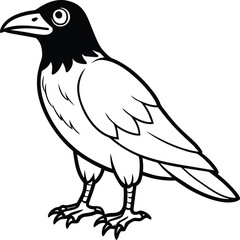 Illustration of a crow standing isolated on white background in black and white