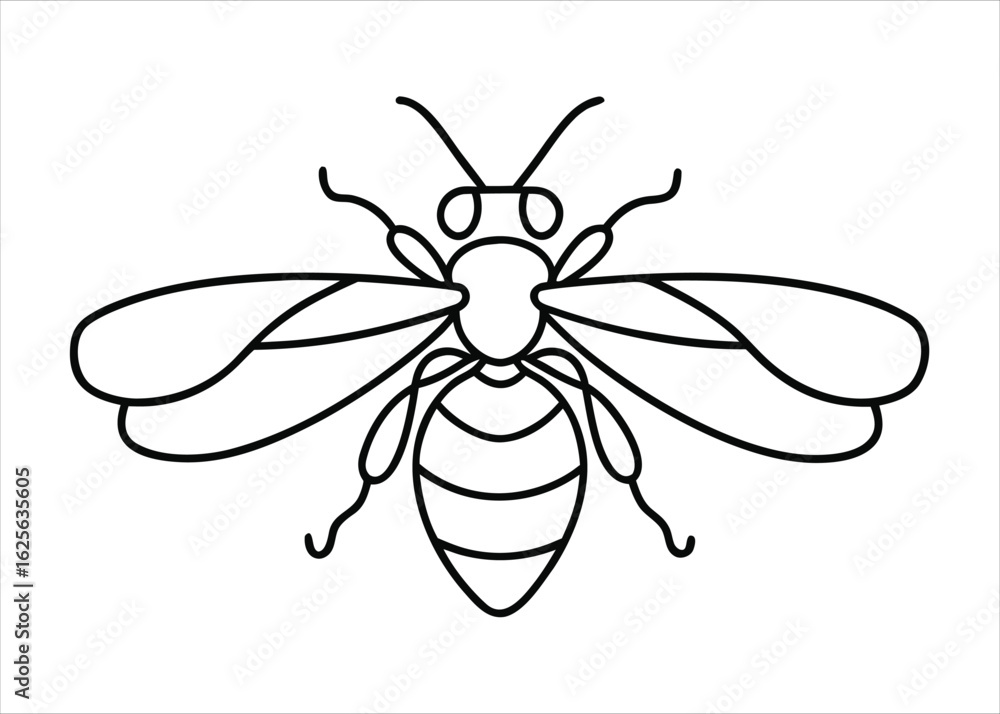 Poster elegant single line art depiction of a flying insect in a minimalist style suitable for various crea