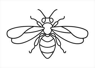 Elegant single line art depiction of a flying insect in a minimalist style suitable for various creative applications