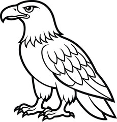 Eagle bird illustration with a simple outline isolated on white background