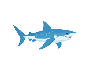Obraz premium Stylized blue shark illustration with a white underbelly sharp teeth and prominent gill slits.