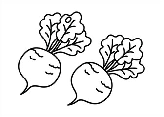 Detailed black and white outline scratch art illustration of root vegetables with a vintage engraving style and hand drawn aesthetic