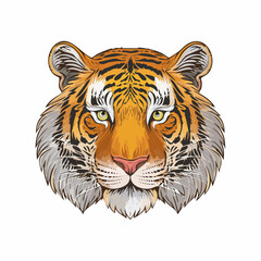 Striking tiger head vector illustration: a captivating wildlife portrait with detailed features